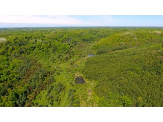 Property photo 11 - LAND AUCTION - 2,596+/- ACRES IN 28 TRACTS IN COSHOCTON & MUSKINGUM COUNTIES, OHIO